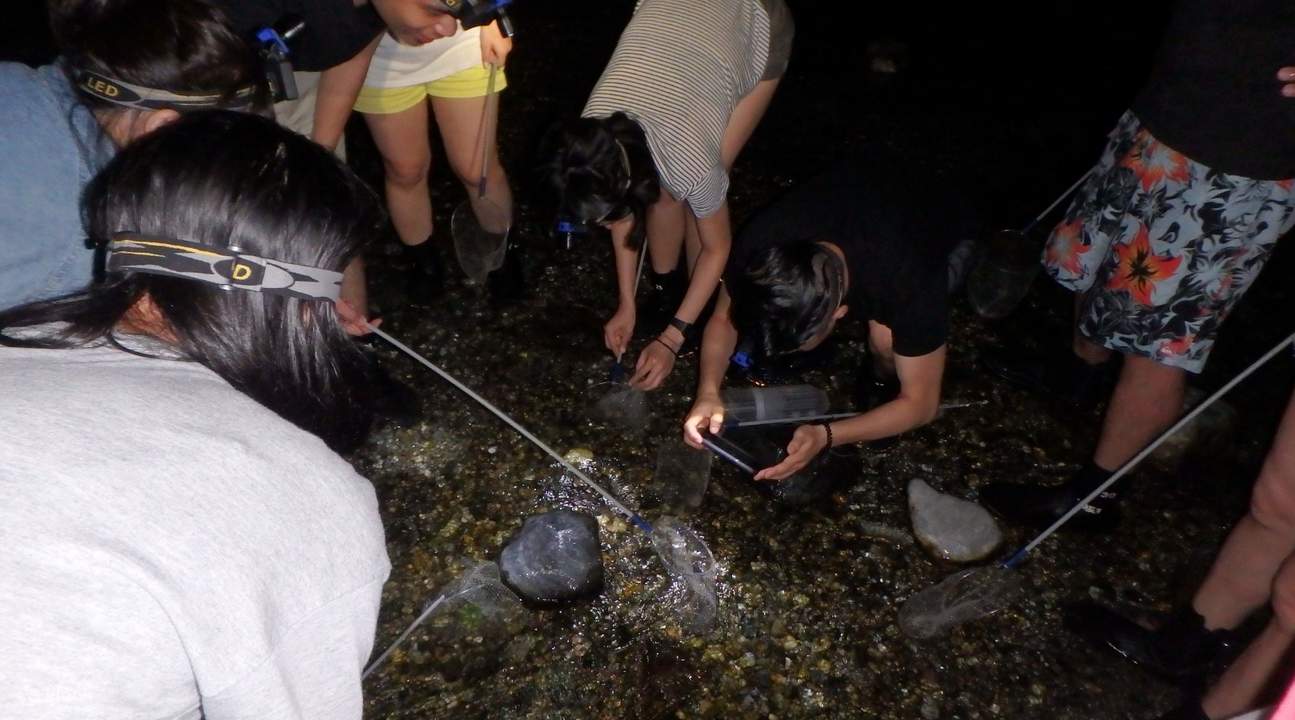 Pesca de camarones en Hualien